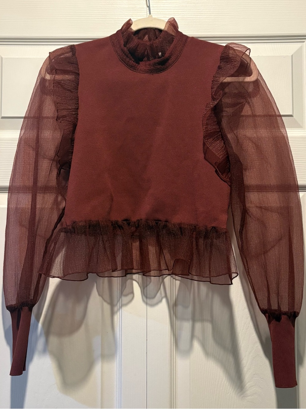 Zara Burgundy Ruffle Mock-Neck Sheer Puff Sleeve Organza Top Fall Party Sz M